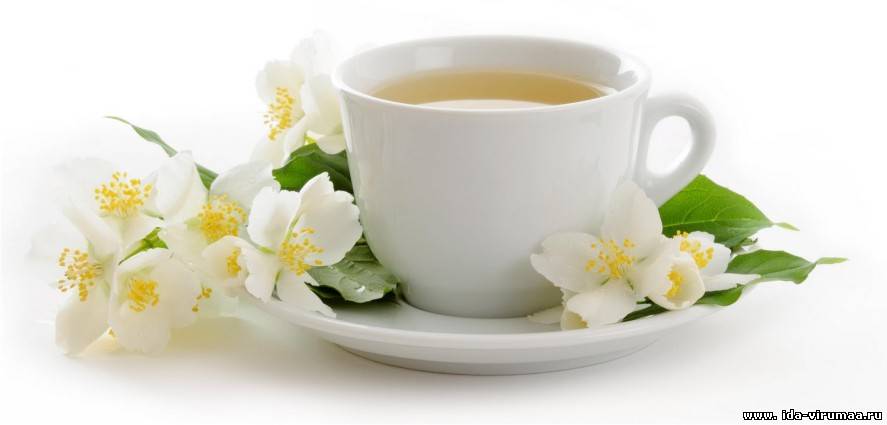 Зеленый чай с жасмином: какие тайны хранит этот напиток
